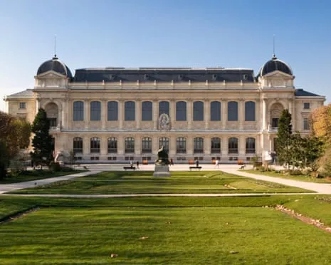 Invaluable Gold Specimens Snatched in Audacious Heist at France's National Institution